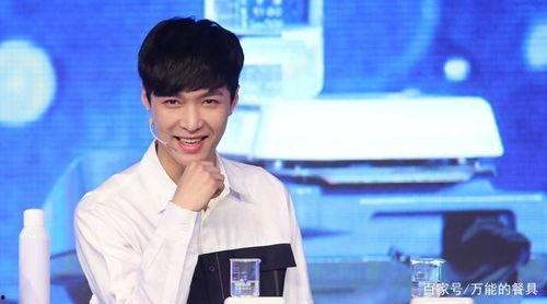 成毅娱乐八卦爆料,揭秘明星背后的故事与争议  第2张