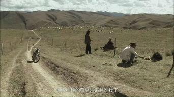 人杀藏獒视频在线观看,网络直播下的血腥一幕 第3张 人杀藏獒视频在线观看,网络直播下的血腥一幕 第3张